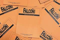 Falcon-padsjpg